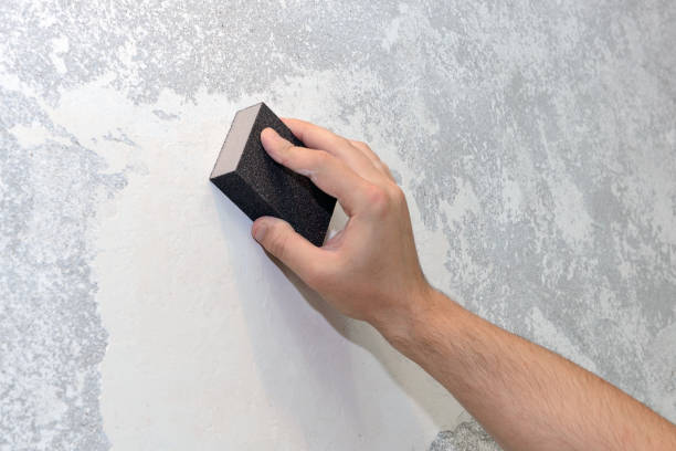 Best Environmental Consulting for Mold Prevention  in Mary Esther, FL